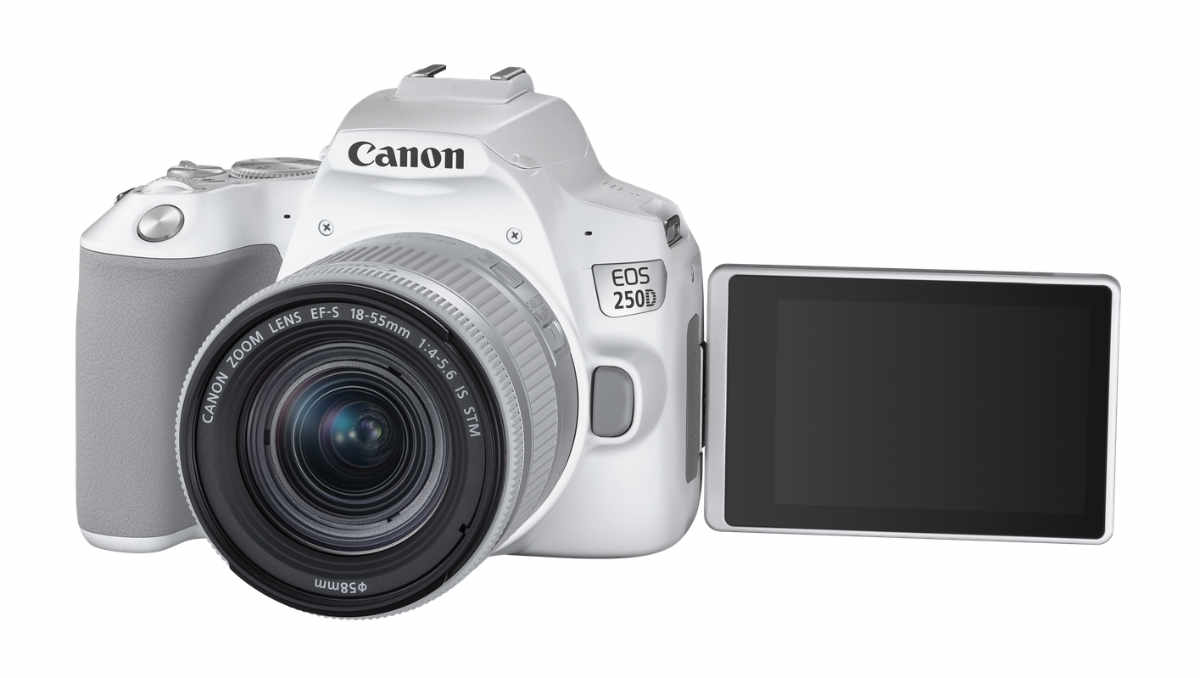 Canon EOS 20D Neue DSLR Kamera mit APS C Sensor und 20K Video für ...