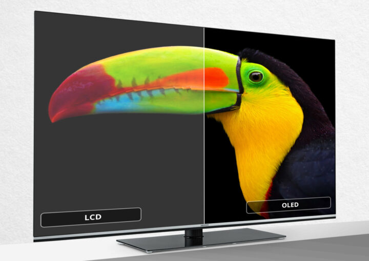Medion Life X15564: Einstiegs-OLED-TV mit Dolby Vision und Dolby Atmos