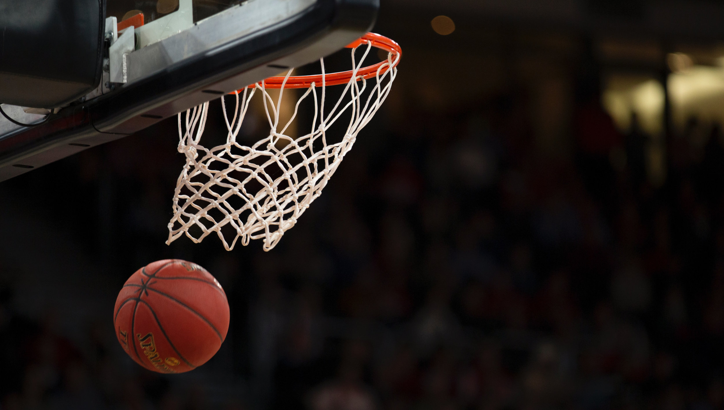 MagentaSport zeigt alle deutschen Spiele der Basketball-EM kostenlos