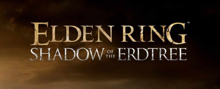 Das Spiel "Elden Ring" erhält mit "Shadow of the Erdtree" einen DLC.