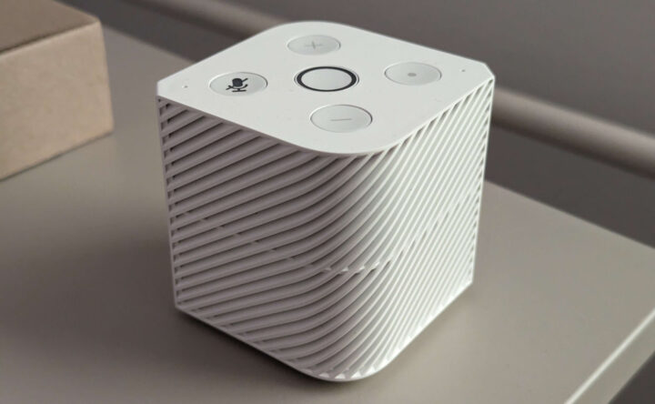 Der Pinevox soll ein Smart Speaker werden.